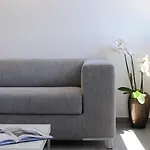 Cactus מלון 4*